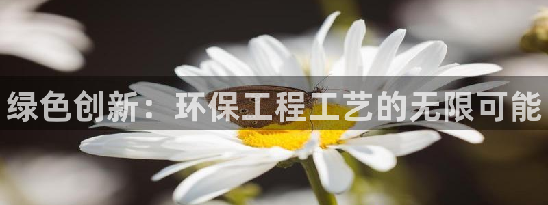 彩名堂是正规的公司吗：绿色创新：环保