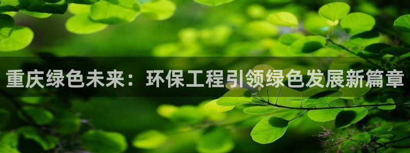 彩名堂客户：重庆绿色未来：环保工程引