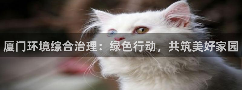 彩名堂图片：厦门环境综合治理：绿色行