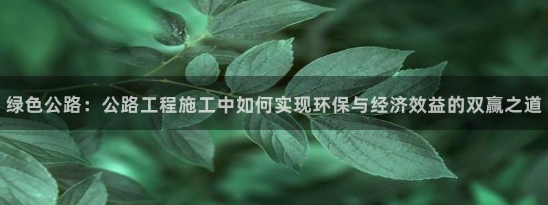 彩名堂网页：绿色公路：公路工程施工中