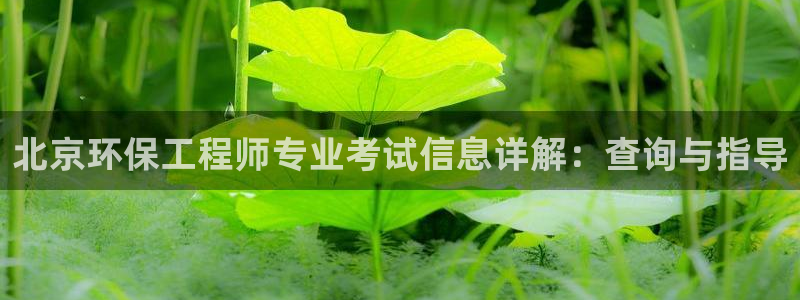 彩名堂幸运飞船计划：北京环保工程师专