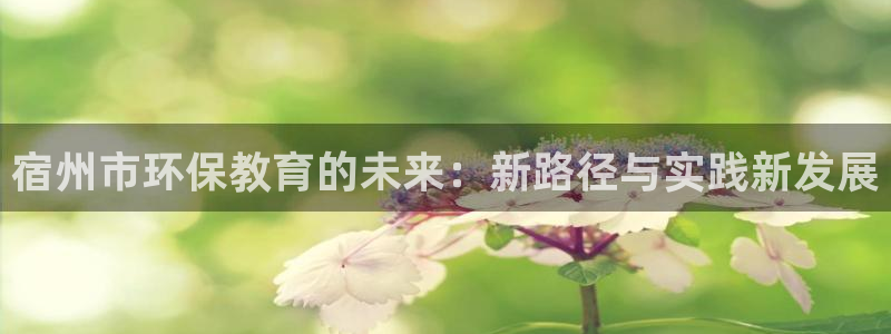 彩名堂下载官网：宿州市环保教育的未来