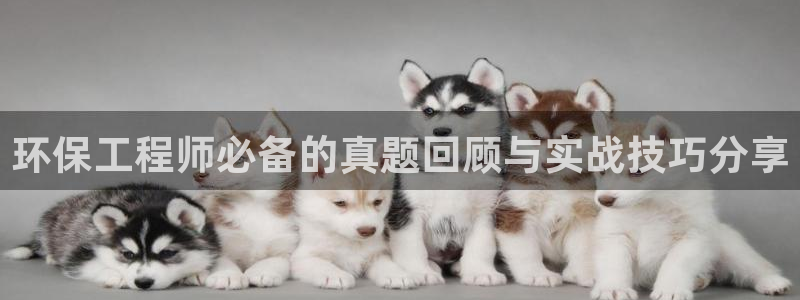 彩名堂双彩网：环保工程师必备的真题回