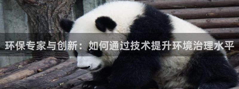 彩名堂排三：环保专家与创新：如何通过技术提升环境治理水平