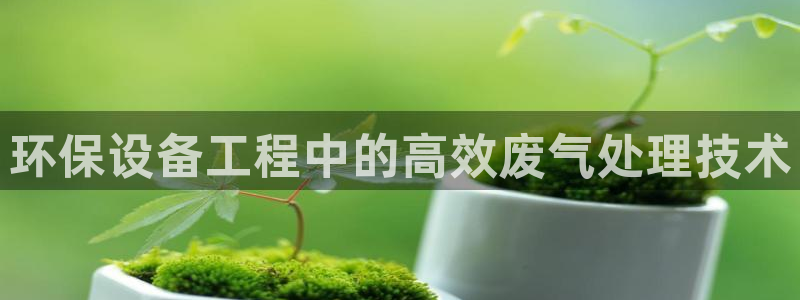 彩名堂怎么跟计划才不连挂在一起：环保设备工程中的高效废气处理