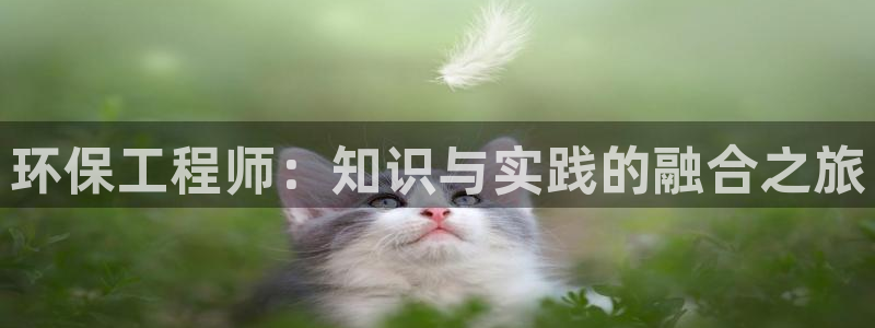 彩名堂计划怎么跟,为什么我一跟就挂：