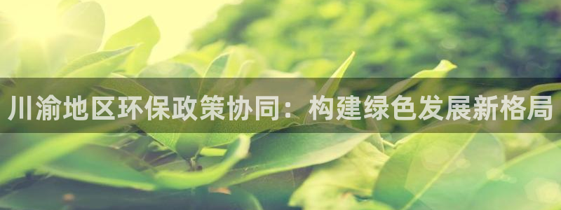 彩名堂用不了：川渝地区环保政策协同：
