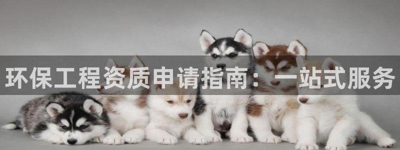 彩名堂彩：环保工程资质申请指南：一站