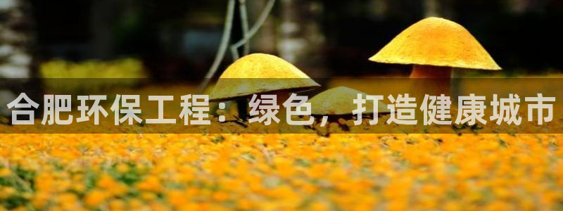 彩名堂使用方法：合肥环保工程：绿色，