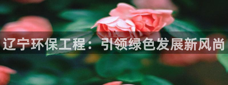 彩名堂怎么跟计划才不连挂：辽宁环保工