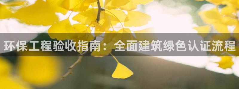 彩名堂app官网：环保工程验收指南：