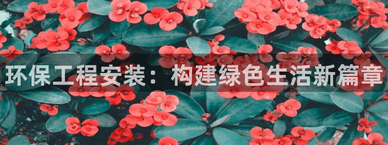 彩名堂app官网：环保工程安装：构建