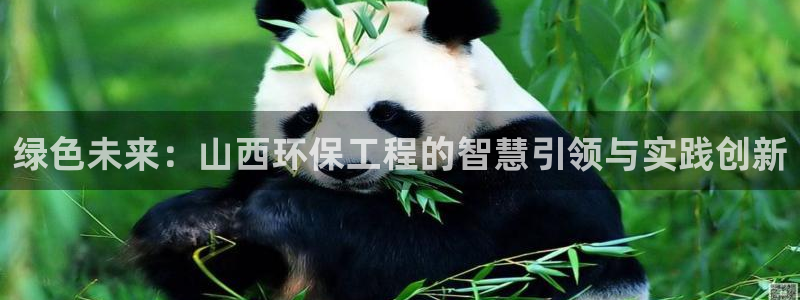 彩名堂计划技巧：绿色未来：山西环保工程的智慧引领与实践创新