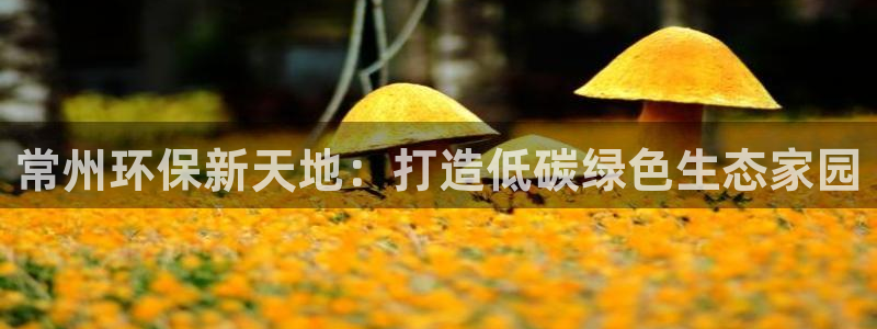 彩名堂计划官网客户端：常州环保新天地：打造低碳绿色生态家园