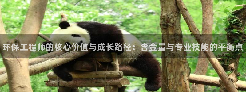 彩名堂怎么选稳定计划产品：环保工程师