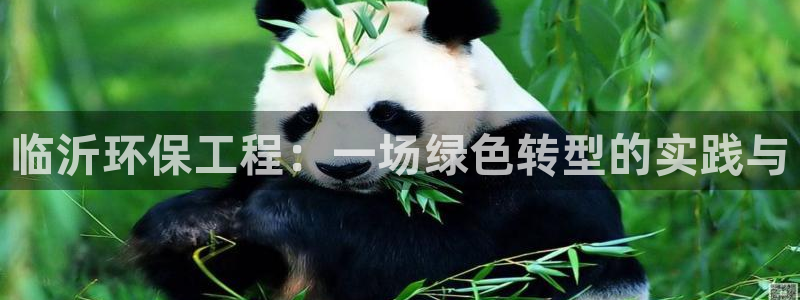 彩名堂是不是坑人的：临沂环保工程：一场绿色转型的实践与
