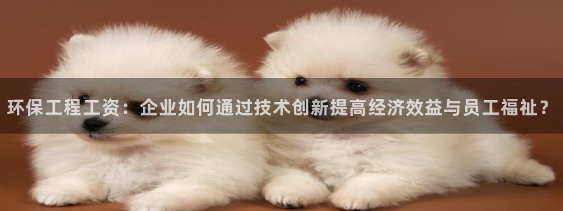 彩名堂预测计划软件：环保工程工资：企业如何通过技术创新提高经