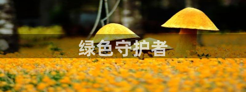 彩名堂预测软件与分析软件区别：绿色守