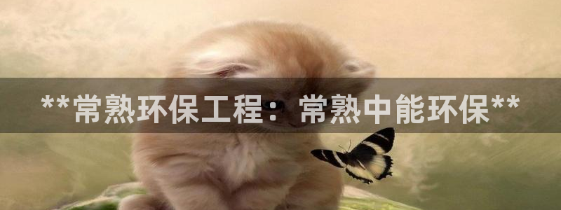 彩名堂手机客户端怎么进不去了：**常熟环保工程：常熟中能环保**