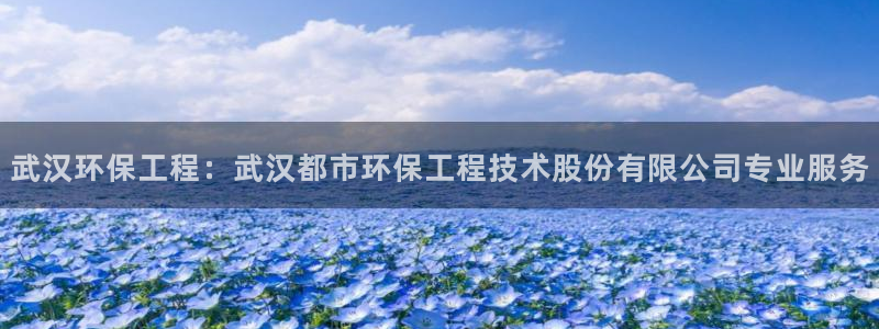 彩名堂最新计划app下载：武汉环保工