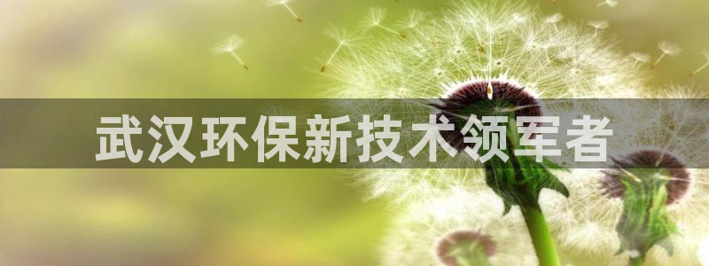 彩名堂二维码：武汉环保新技术领军者