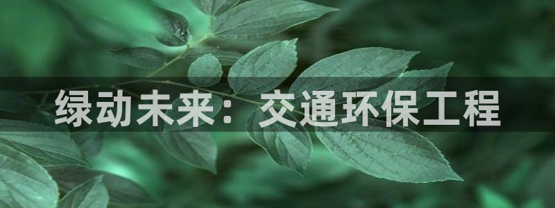 彩名堂旧版本：绿动未来：交通环保工程