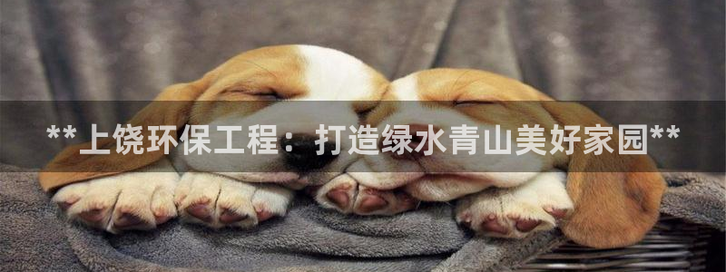 彩名堂双彩网：**上饶环保工程：打造