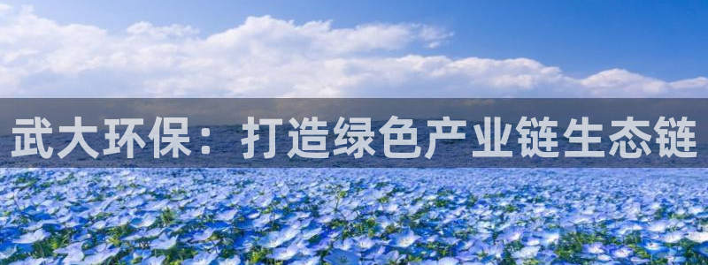 彩名堂4.3：武大环保：打造绿色产业