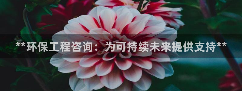 彩名堂计划怎么看：**环保工程咨询：