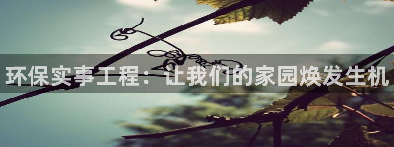 彩名堂改成什么名字了：环保实事工程：