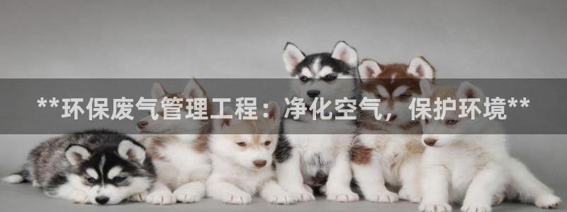 彩名堂01计划：**环保废气管理工程