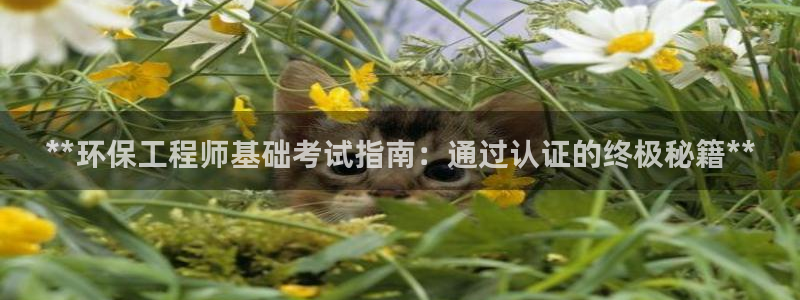 彩名堂怎么不能用了：**环保工程师基