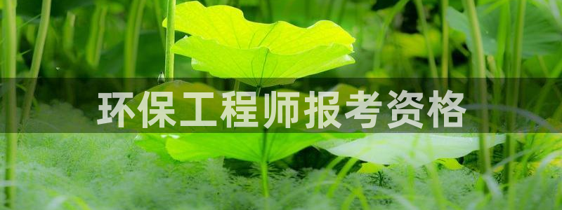 彩名堂怎么选稳定计划：环保工程师报考