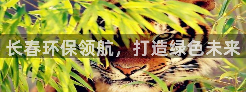 彩名堂图片：长春环保领航，打造绿色未