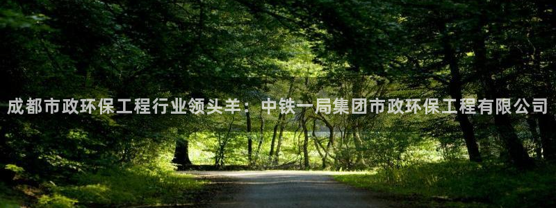 彩名堂排三：成都市政环保工程行业领头