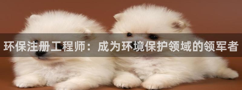 彩名堂怎么打不开了：环保注册工程师：