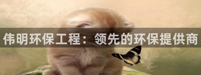 彩名堂是不是坑人的：伟明环保工程：领先的环保提供商