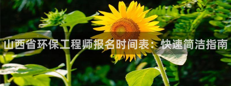 彩名堂免费计划5.0使用方法是什么：山西省环保工程师报名时间表：快速简洁指南