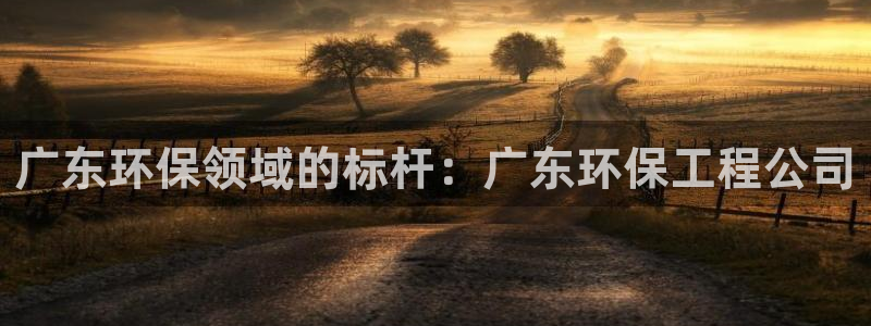 彩名堂还能用吗：广东环保领域的标杆：广东环保工程公司