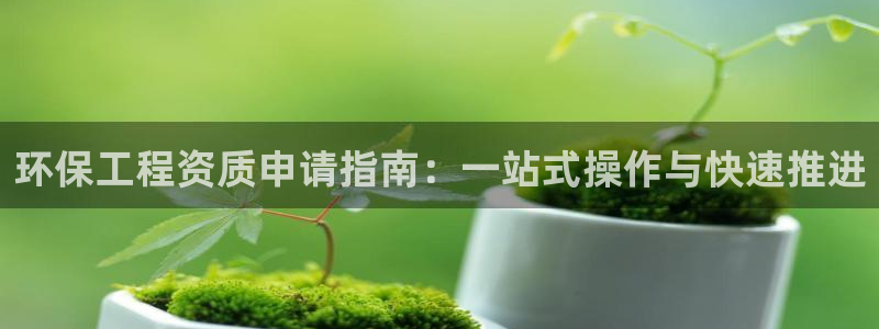 彩名堂预测软件：环保工程资质申请指南