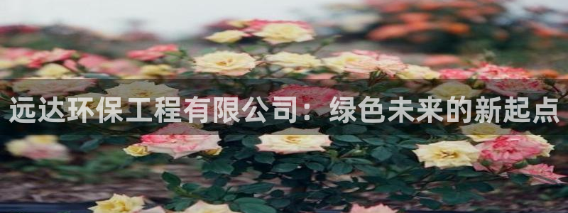 谁知道彩名堂网站是多少：远达环保工程有限公司：绿色未来的新起点