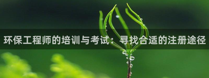 彩名堂改名稻草人了吗：环保工程师的培训与考试：寻找合适的注册途径