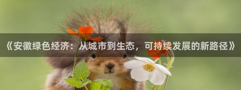 彩名堂平台：《安徽绿色经济：从城市到