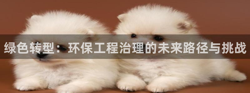 彩名堂计划和01计划怎么很稳：绿色转