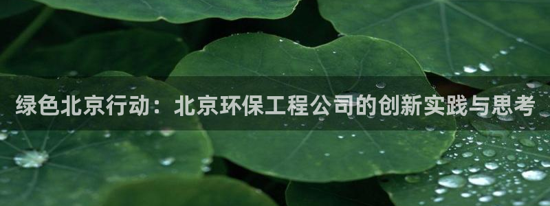 彩名堂好用还是千里马好用一点：绿色北