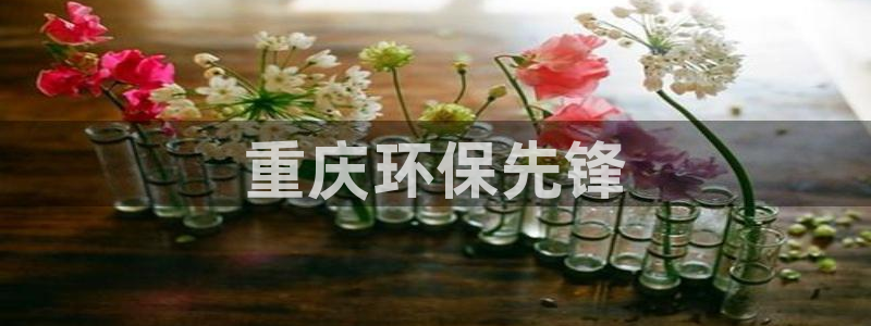 彩名堂苹果客户端怎么下载：重庆环保先锋