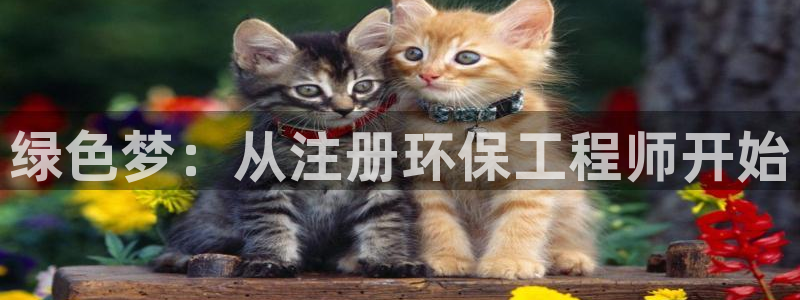 彩名堂app下载5.1.0：绿色梦：从注册环保工程师开始