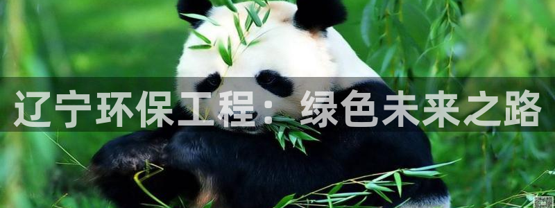 老版本彩名堂计划软件：辽宁环保工程：