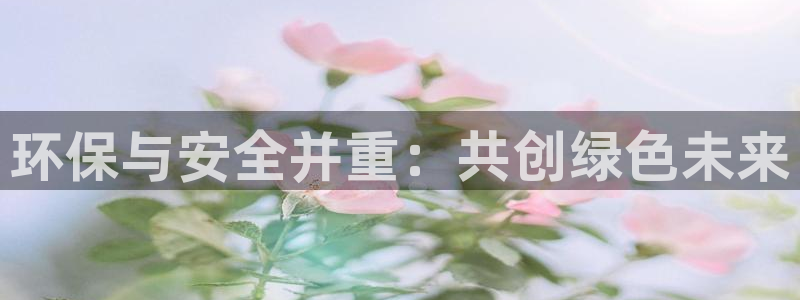 彩名堂怎么样：环保与安全并重：共创绿