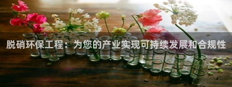 彩名堂免费计划官网50：脱硝环保工程：为您的产业实现可持续发展和合规性